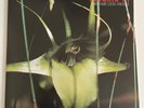 Dreams Less Sweet by Psychic TV (Record, 2014)