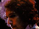 Bob Dylan 