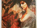 ENYA - WATERMARK - 1988 RARE MEXICAN LP, TRANSLUCENT WAX, NEW AGE