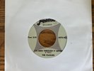 The Plagues I’ve Been Through It Before Fenton 45 repro garage 60’s BFTG pebbles
