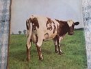 Pink Floyd 'Atom Heart Mother' UK LP 1st press A-1G / B-1G NO EMI.