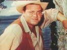 LAGWAGON - Hoss (reissue) - Vinyl (gatefold 2xLP + insert)