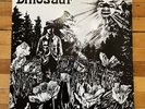 Dinosaur (Dinosaur Jr.) 1988 First Repress Vinyl  LP Homestead Records EX/EX