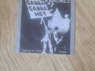 Ramones (GABBA GABBA HEY) Swallow My Pride   3 track maxi siUk 1977 Picture Slve