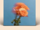 The Summer Set - Blossom [LP] Colored Vinyl, Ltd Ed, Orange Sold Out