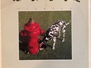 Signals by Rush (LP, 1982 Anthem, Canada, ANR-1-1038)