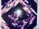 Signed A Beautiful Place To Drown Silverstein Vinyl Purple Limited ed autograph