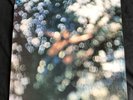 PINK FLOYD Obscured By Clouds   1972 Harvest Australia Mint