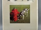 RUSH - Signals Vinyl Album 1982 LP EX / NM