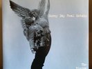Sunny Day Real Estate The Rising Tide Clear Vinyl LP Record Store Day 2017 RSD