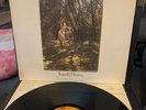 VAN MORRISON Tupelo Honey -1970's Pressing w/EX VINYL