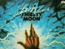 GERMANY 1976 PROG ROCK ELECTRONIC ROCK KRAUTROCK LP THIRSTY MOON : BLITZ