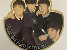 The Beatles – Hear The Beatles Tell All - RARE Picture Disc - Vee Jay PRO 202