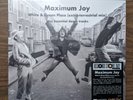 MAXIMUM JOY White & Green Place 12