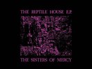 The Sisters Of Mercy The Reptile House grey smokey colored vinyl ep lp RSD 2023