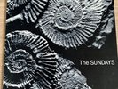 THE SUNDAYS - Reading Writing and Arithmetic -  vinyl LP - 1990 1st Press