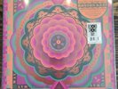 Grateful Dead Boston Garden MA 5/7/77 Live RSD 2023 180G Vinyl Box Set New