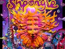 Shpongle - Museum Of Conciousness Vinyl LP X 2 New Sealed