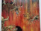 Slayer - Hell Awaits vinyl LP (Roadrunner RR9795)