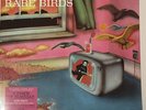 A FLOCK OF SEAGULLS -  RARE BIRDS - B-Sides & Rarities - RSD 23 - LIMITED SEALED