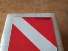 Van Halen Diver Down LP 1th German PressforNetherlands STEMRA 1982 Pretty Woman