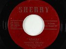 Garage 45 - Fantastic Dee-Jays - Apache/This Love Of Ours - Sherry - mp3