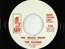 Girl Group 45 - Gleams - Mr. Magic Moon - Kapp - VG+ mp3