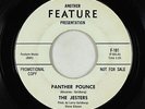 Surf Inst. 45 - Jesters - Panther Pounce/Tiger Tail - Feature - VG+ mp3