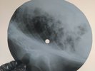 BEATLES WHILE MU GUITAR GENTLY X-Ray USSR Record Roentgen Bones Ribs Music Vinyl