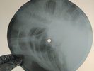 ELTON JOHN EMPTY SKY X-Ray USSR Record Roentgen Bones Ribs Music Vinyl