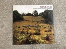 Popol Vuh-Letzt Tage-Letzte Nachte German LP United Artists UAS 299161 NM-/G