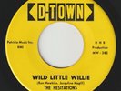 THE HESITATIONS Wild Little Willie D-TOWN detroit rockabilly r&r 45