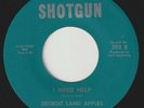 DETROIT LAND APPLES I Need Help SHOTGUN northern soul instro 45 og