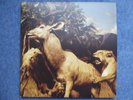 Interpol – Our Love To Admire 2007 2xLP Capitol Records 0946 3 76538 1 4