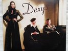 Dexys - One Day I'm Going to Soar -  2 x Gold Vinyl LP Reissue