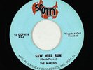 Surf Inst. 45 - Marlins - Saw Mill Run/Let Down - Scotty - VG+ mp3 - rare