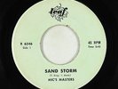Surf Inst. 45 - Mic's Masters - Sand Storm/Rock-N-Round - Leaf - mp3