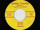 Surf Inst. 45 - Neutrons - Cut-Out - Golden Triangle - VG+ mp3 - obscure