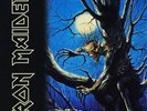 Iron Maiden - Fear Of The Dark Vinyl 2LP NEU 0554341