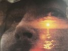 David Crosby If I Could Only Remember My Name LP Vinyl NEW