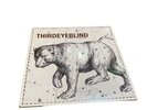 Third Eye Blind Ursa Major Vinyl RARE OOP Vinyl