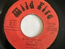 WILDFIRE - Sexy Lady You / ISLAND DISCO FUNK SOUL 45