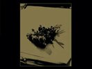 Foals-Life Is DubLP RSD