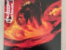 The Stooges ‎Fun House Vinyl LP Elektra Reissue EU 2005 NM