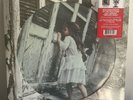 VIOLENT FEMMES Self Titled NEW SEALED PICTURE DISC W/HYPE STICKER RSD