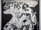 PUBLIC DISTURBANCE S&M 3 song EP 011 ON MUTHA RECORDS MINT  ***ORIGINAL ***