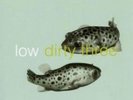 LOW/DIRTY THREE: IN THE FISHTANK [LP vinyl]