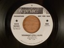 Dave Davies The Kinks  Susannah's Still Alive/Funny Face  Promo Pop Psych, Mod