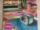 A Flock of Seagulls Rare Birds Clear Vinyl LP RSD 2023 Exclusive - Ltd to 1025