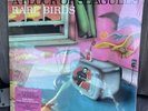 RSD 2023 A Flock of Seagulls RARE BIRDS B-sides, Edits Transparent sealed LP